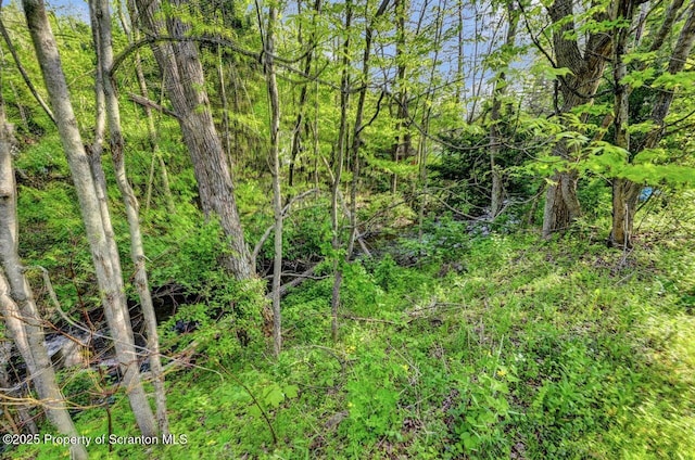 340 Brook St, Moscow, PA 18444 - photo 46