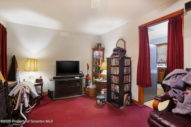 living room featuring carpet flooring