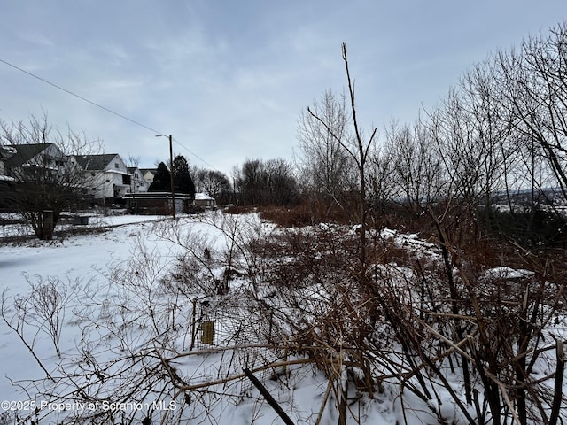 view of yard covered in snow