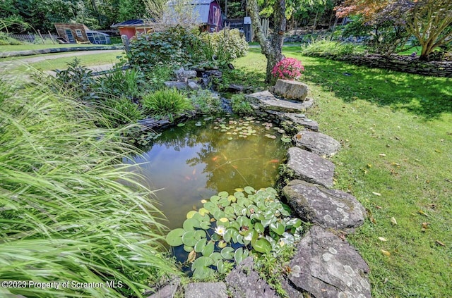 view of yard featuring a small pond