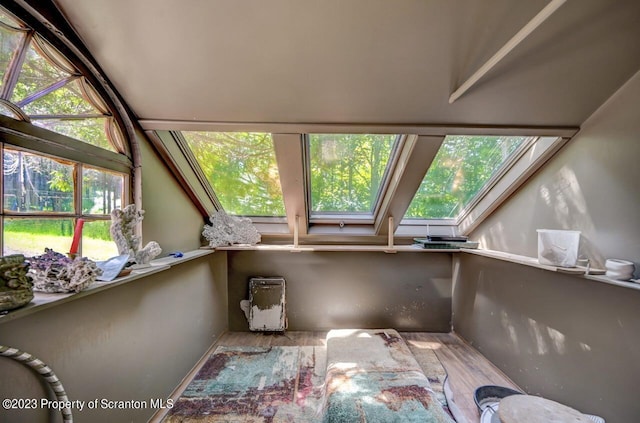 miscellaneous room with hardwood / wood-style flooring and a skylight