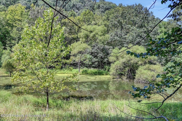 view of nature with a water view