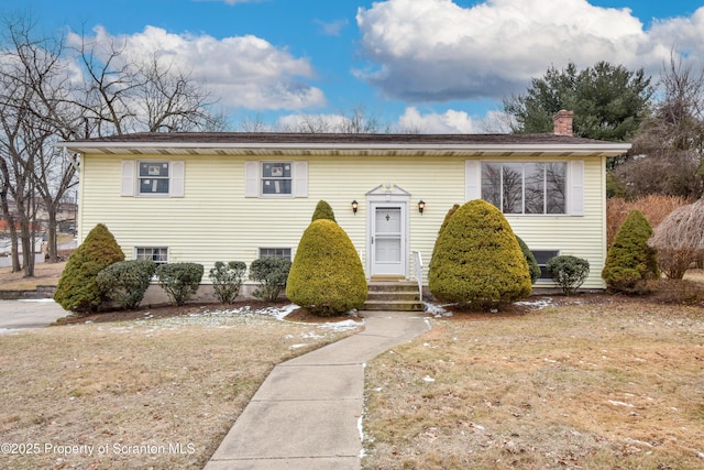 raised ranch featuring a front lawn