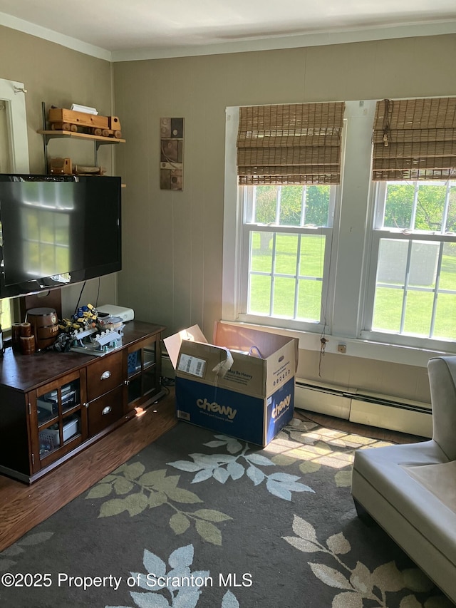 7988 State Route 29, Montrose, PA 18801 - photo 32