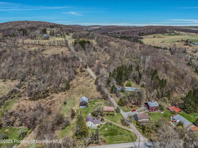 11 Manzer Rd, New Milford, PA 18834 - aerial view of property and surrounding area