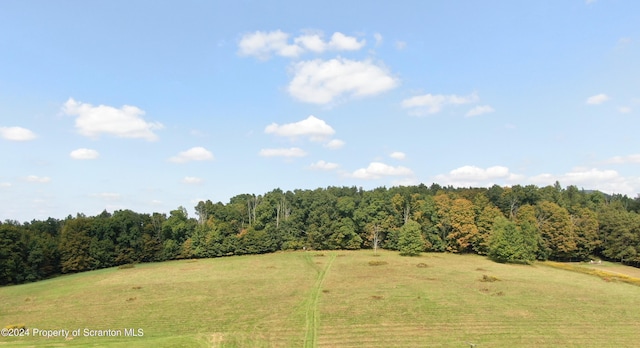LOT3 State Route 2014, Clifford Twp, PA 18470 - photo 8