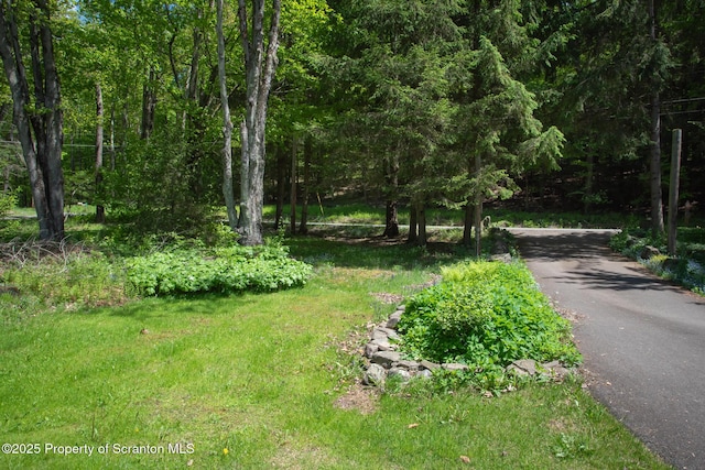257 Lake Sophia Rd, Brackney, PA 18812 - photo 17