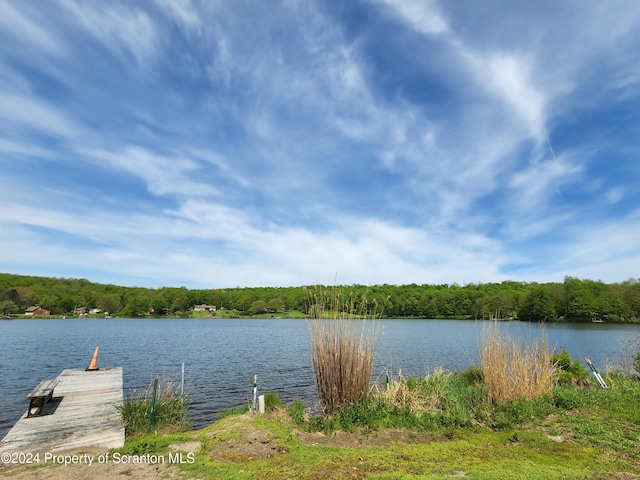 exterior space featuring a boat dock