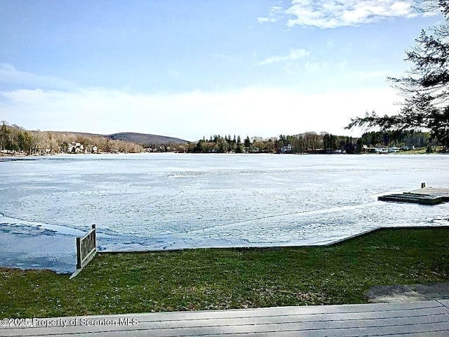 595 Foster Dr, Union Dale, PA 18470 - photo 26