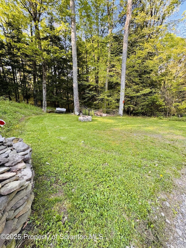 595 Foster Dr, Union Dale, PA 18470 - photo 15