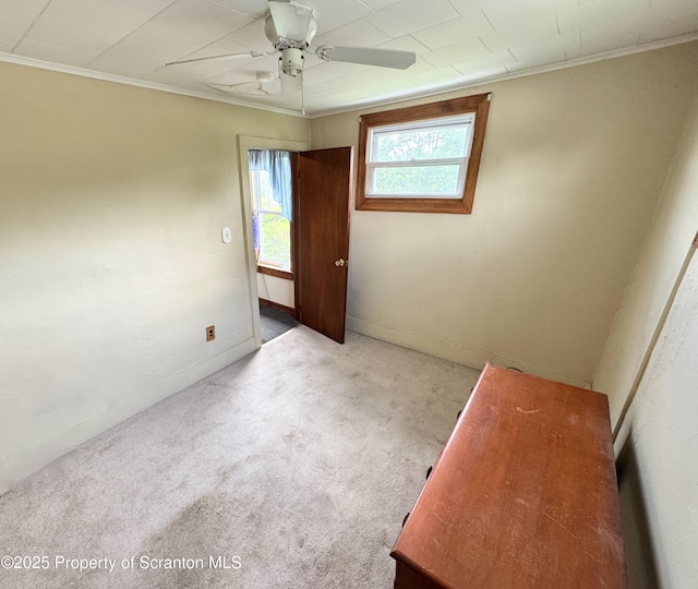 14 Plum Ave, Carbondale, PA 18407 - photo 32