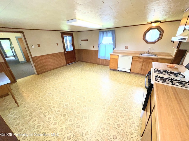 14 Plum Ave, Carbondale, PA 18407 - photo 12