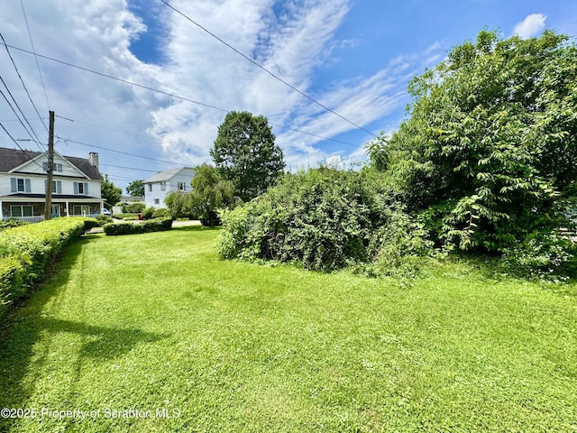 14 Plum Ave, Carbondale, PA 18407 - photo 8
