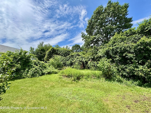 14 Plum Ave, Carbondale, PA 18407 - photo 6