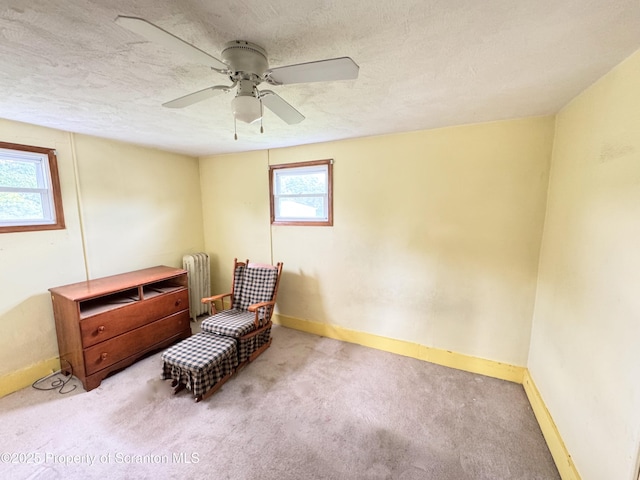 14 Plum Ave, Carbondale, PA 18407 - photo 27