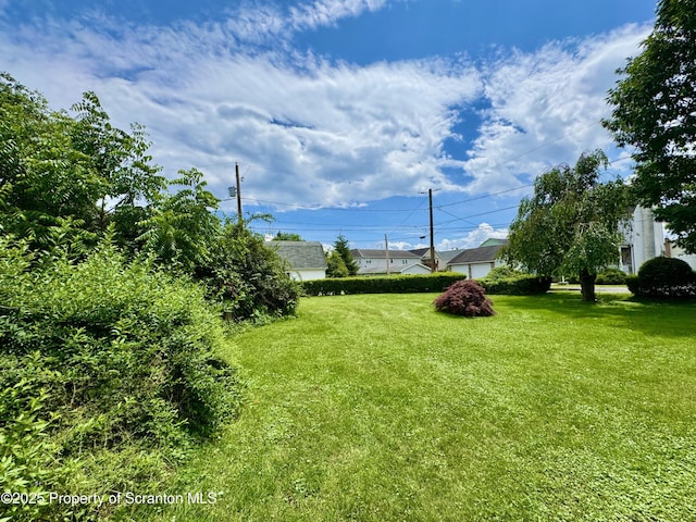 14 Plum Ave, Carbondale, PA 18407 - photo 4