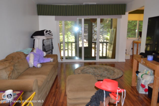 living room featuring dark hardwood / wood-style flooring