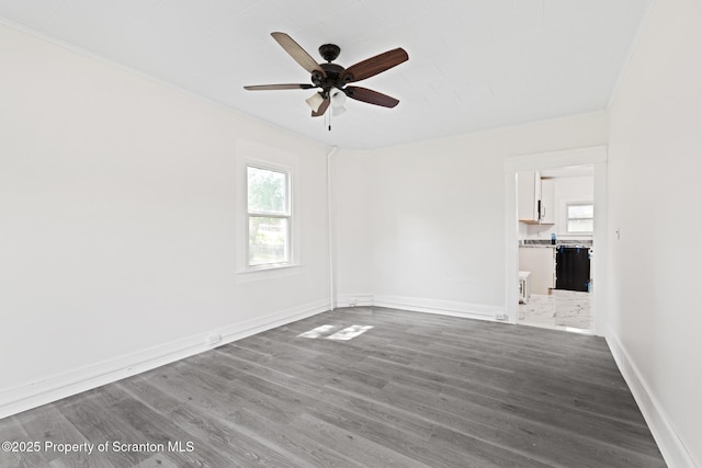 1303 Main St, Pittston, PA 18640 - unfurnished room featuring a ceiling fan, ornamental molding, healthy amount of natural light, and dark wood-type flooring