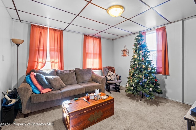 living area with carpet flooring and a paneled ceiling