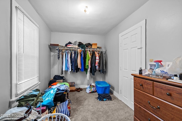 walk in closet featuring carpet floors