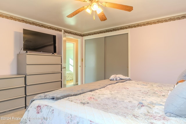 bedroom featuring ceiling fan, a closet, carpet floors, and crown molding