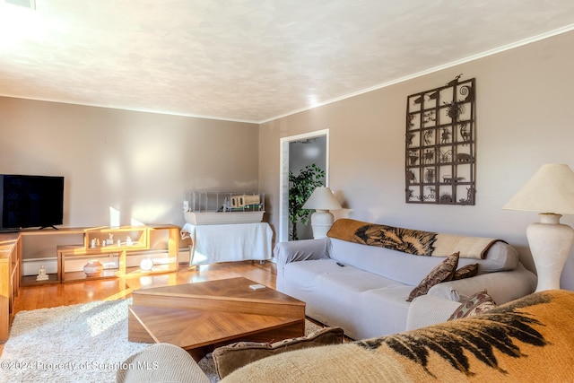 living room with wood-type flooring and crown molding