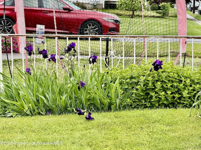 2052 Farr St 2050, Scranton, PA 18504 - view of yard