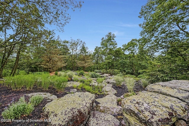119 Glenmaura Dr, Moosic, PA 18507 - view of local wilderness