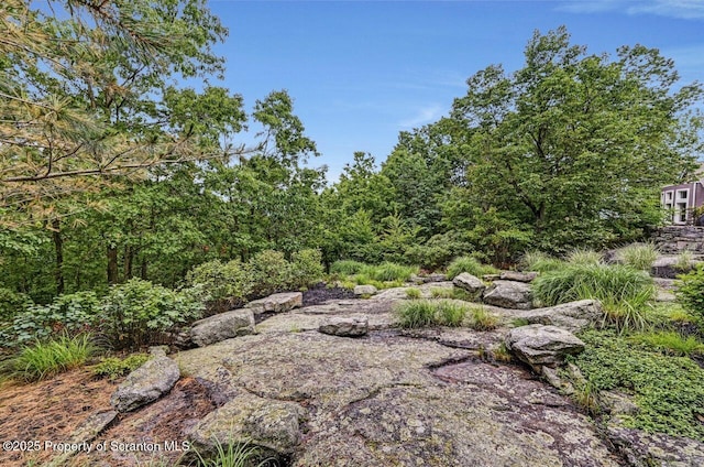 119 Glenmaura Dr, Moosic, PA 18507 - view of yard