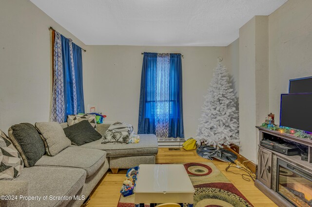 living room with a textured ceiling and light hardwood / wood-style flooring