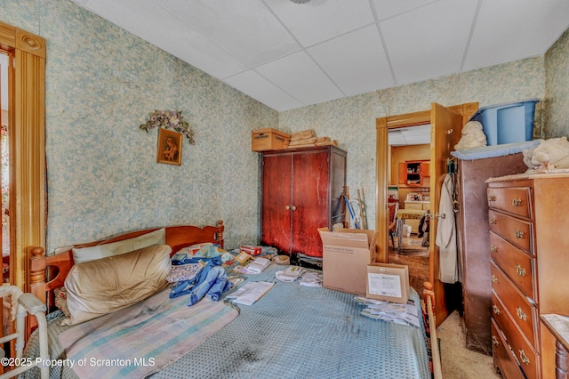 carpeted bedroom featuring a drop ceiling and wallpapered walls