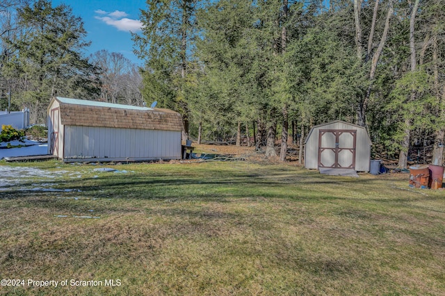 view of yard featuring a shed