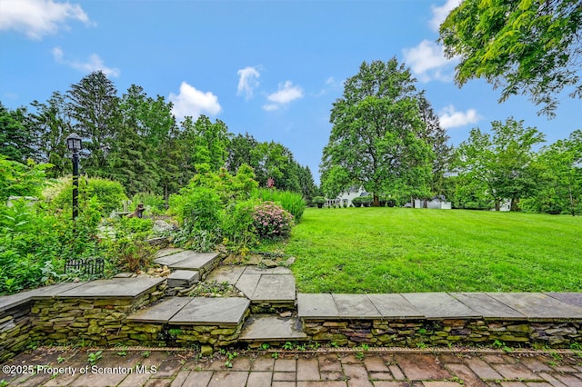 592 Gravel Pond Rd, Clarks Summit, PA 18411 - view of grassy yard