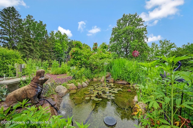 592 Gravel Pond Rd, Clarks Summit, PA 18411 - view of yard
