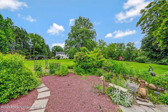 592 Gravel Pond Rd, Clarks Summit, PA 18411 - view of grassy yard featuring view of wooded area