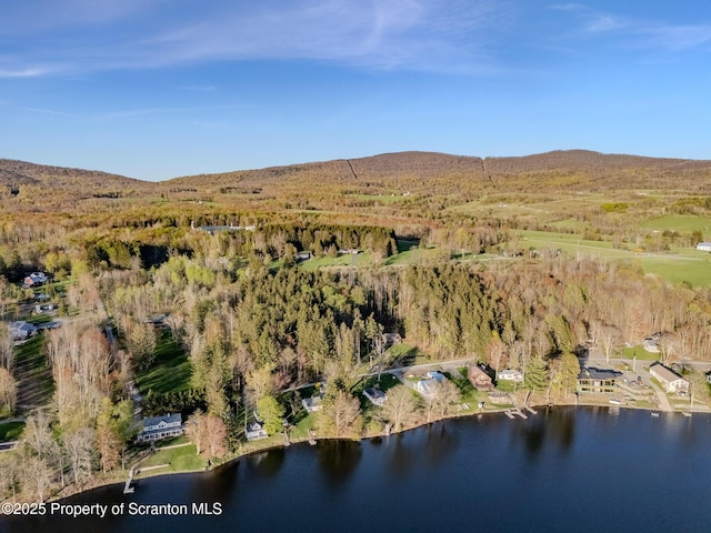 272 Lake Blvd, Clifford Twp, PA 18470 - drone / aerial view featuring a water and mountain view and a wooded view