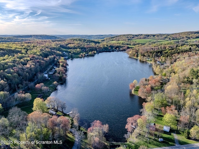 272 Lake Blvd, Clifford Twp, PA 18470 - bird's eye view with a water view and a view of trees
