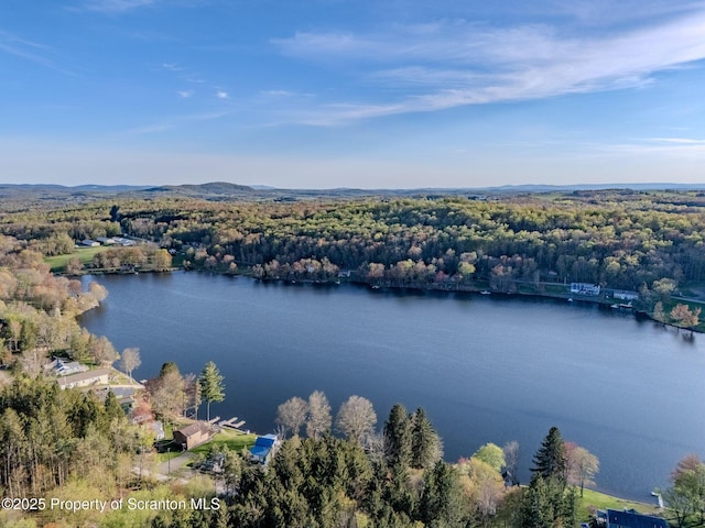 272 Lake Blvd, Clifford Twp, PA 18470 - aerial view with a water view and a wooded view