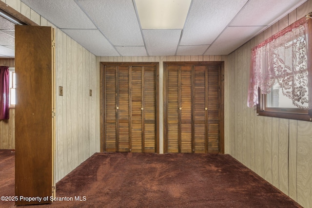 unfurnished bedroom featuring a drop ceiling, multiple closets, carpet floors, and wood walls