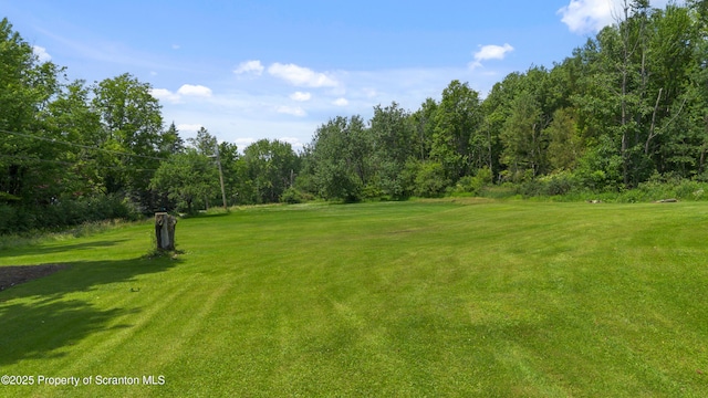 73 Quinton Rd, Scott Twp, PA 18447 - view of green lawn