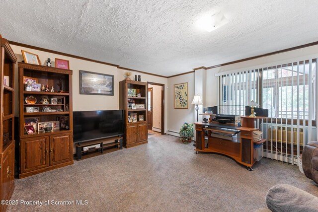 73 Quinton Rd, Scott Twp, PA 18447 - carpeted office space featuring crown molding and a textured ceiling