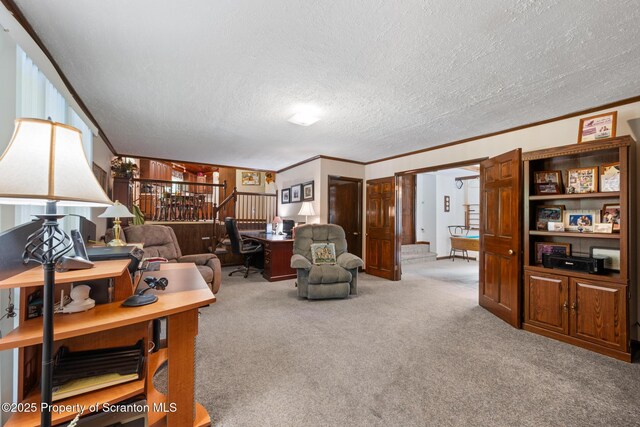 73 Quinton Rd, Scott Twp, PA 18447 - office space with carpet, a textured ceiling, and crown molding