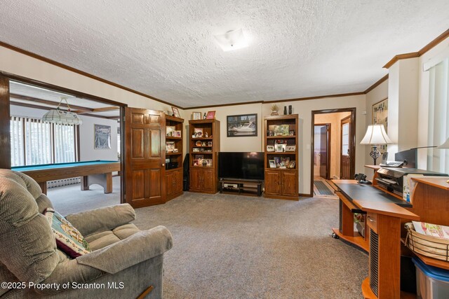73 Quinton Rd, Scott Twp, PA 18447 - carpeted living area featuring ornamental molding, billiards table, and a textured ceiling