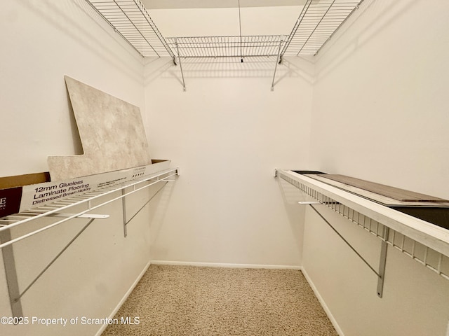 1107 Summit Pt, Scranton, PA 18508 - photo 21
