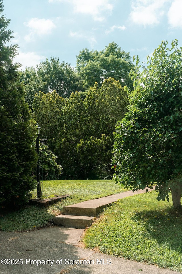 118 Howard St, Old Forge, PA 18518 - view of green lawn