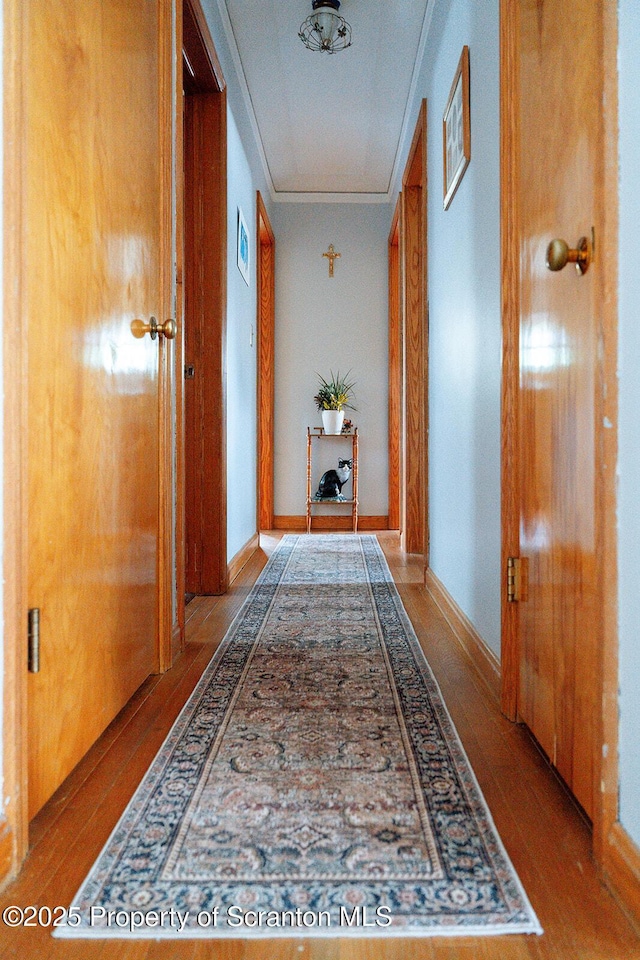 118 Howard St, Old Forge, PA 18518 - hall featuring ornamental molding and wood finished floors