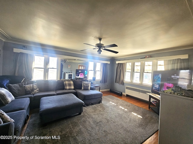 living area featuring a ceiling fan, wood finished floors, baseboards, radiator heating unit, and crown molding