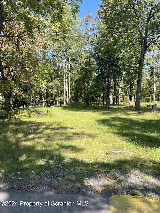 0 Lois Miller Rd, Spring Brook Twp PA, 18444 land for sale