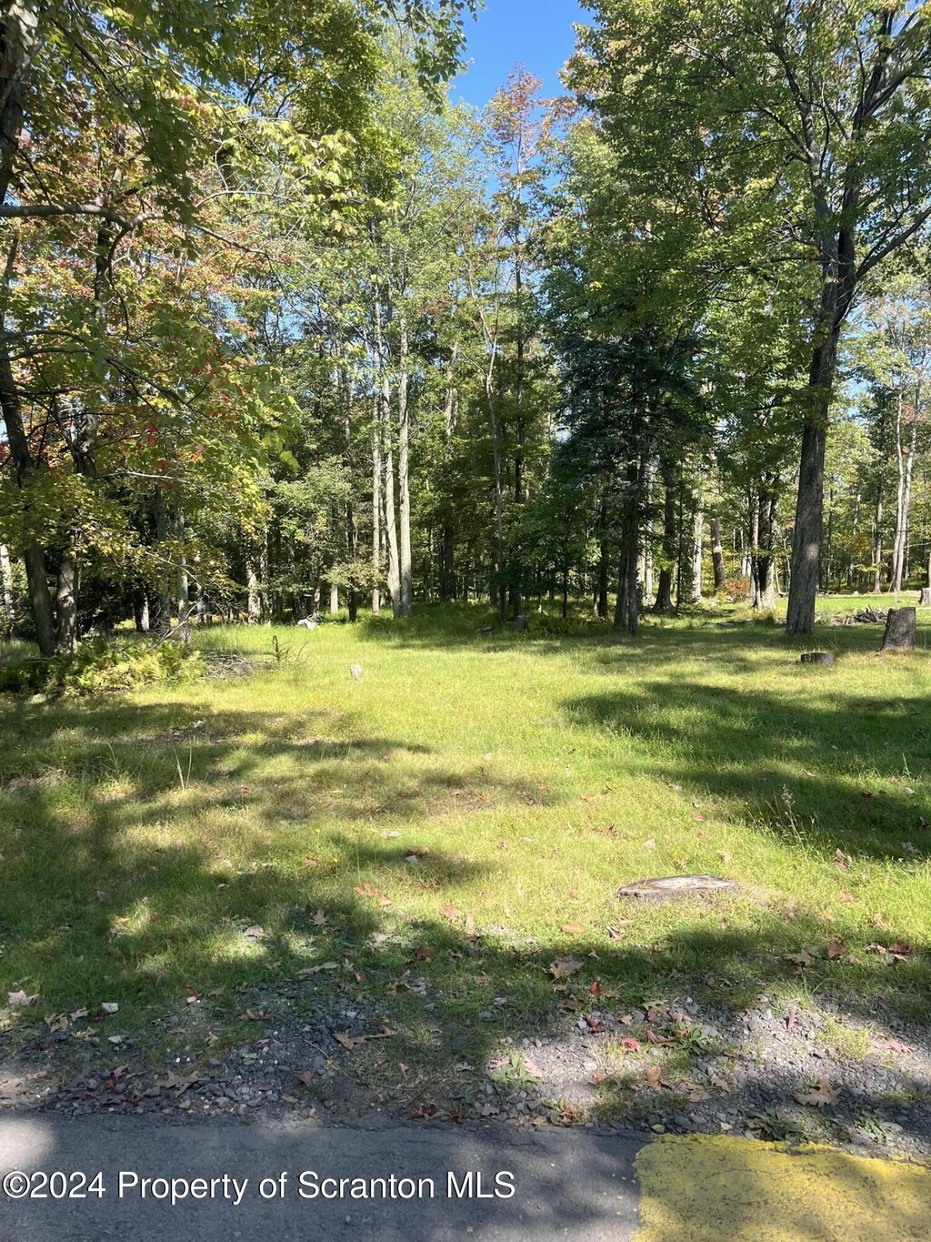 0 Lois Miller Rd, Spring Brook Twp, PA 18444 - photo 1