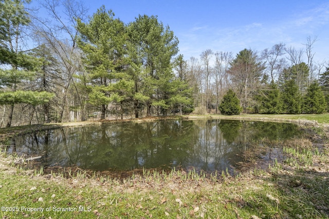 view of water feature with a wooded view